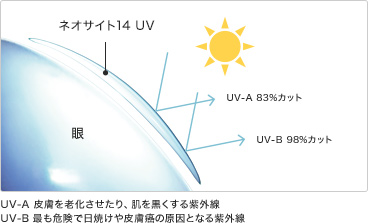 ネオサイト14UV