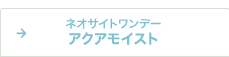 ネオサイトワンデー アクアモイスト