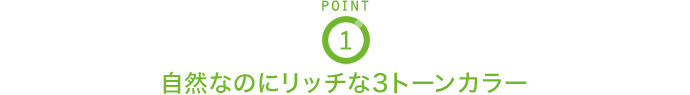 POINT1 自然なのにリッチな3トーンカラー